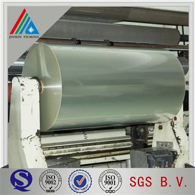 100mic 125mic Polyester PET Zaj duab xis Qaib ntxhw Hloov luam ntawv